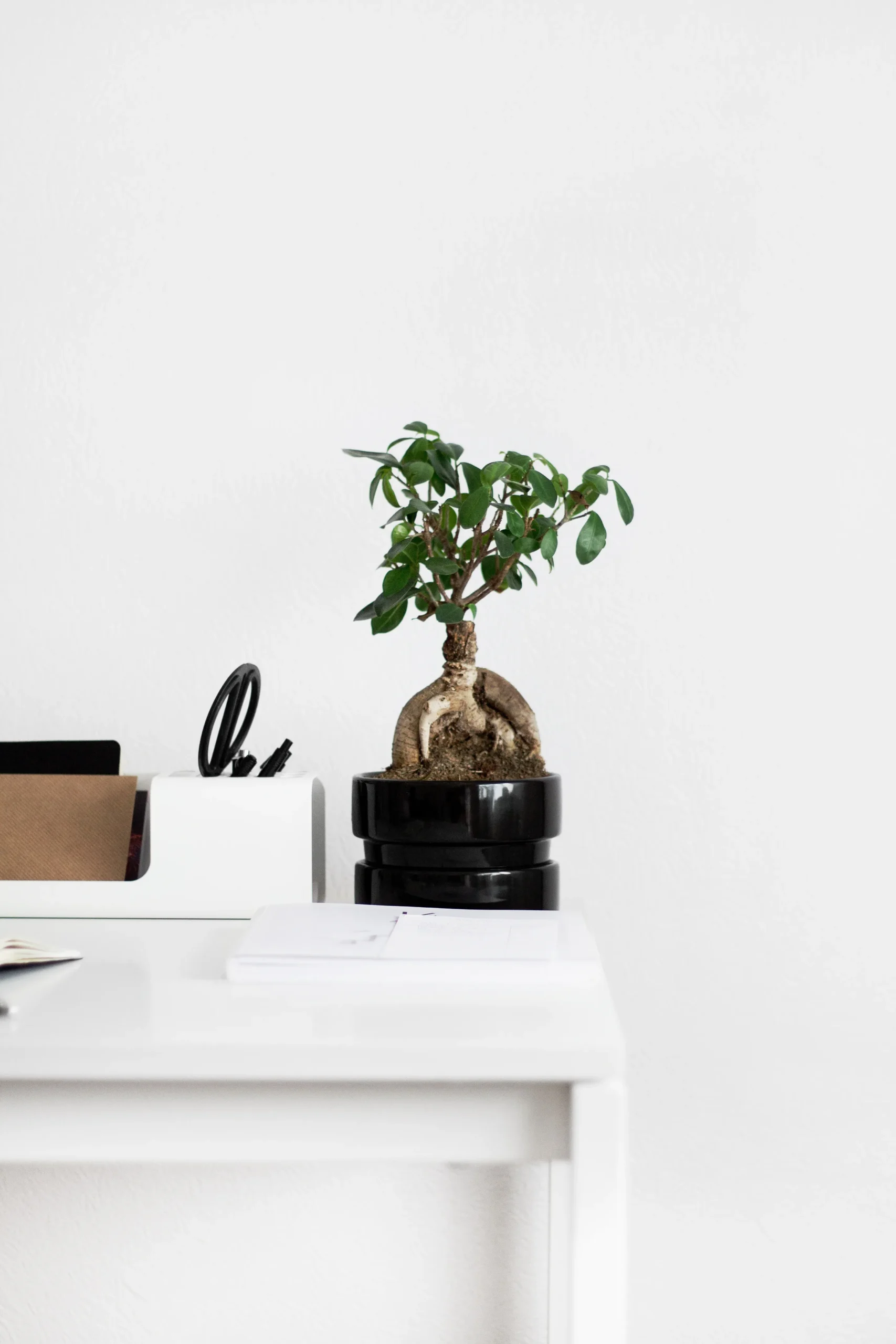 Sample post with right sidebar